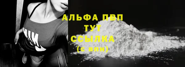 спиды Надым
