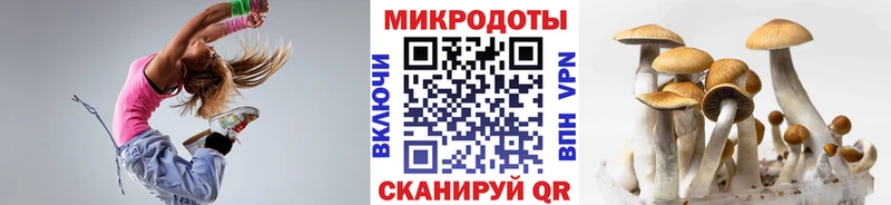 Купить  Ипатово  Псилоцибиновые грибы мицелий 